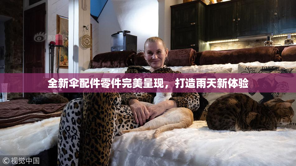 全新伞配件零件完美呈现，打造雨天新体验