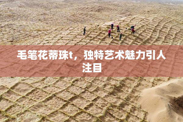 毛笔花蒂珠t，独特艺术魅力引人注目