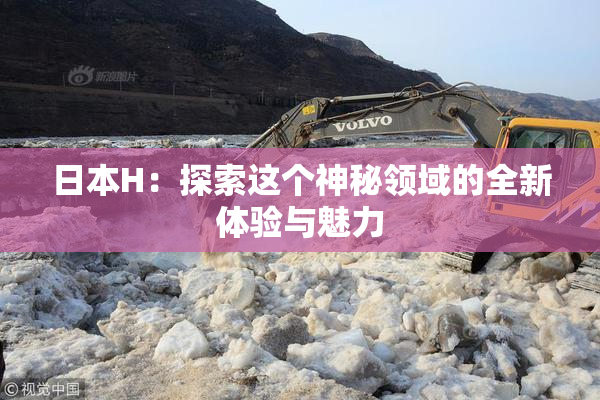 日本H：探索这个神秘领域的全新体验与魅力
