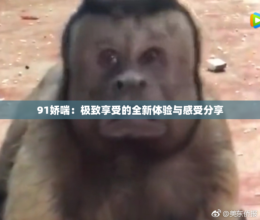 91娇喘：极致享受的全新体验与感受分享