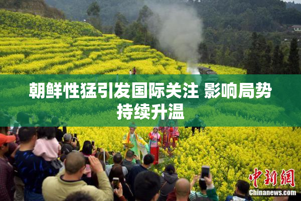 朝鲜性猛引发国际关注 影响局势持续升温
