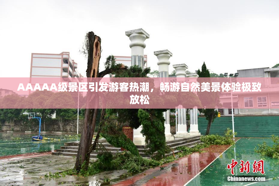 AAAAA级景区引发游客热潮，畅游自然美景体验极致放松