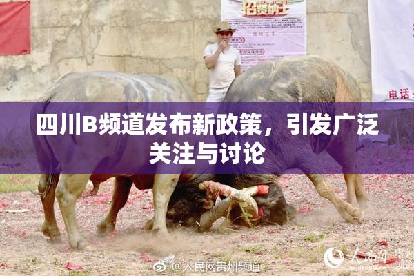 四川B频道发布新政策，引发广泛关注与讨论