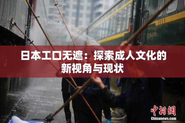 日本工口无遮：探索成人文化的新视角与现状