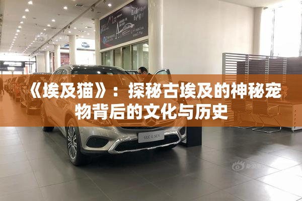 《埃及猫》：探秘古埃及的神秘宠物背后的文化与历史