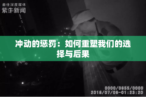 冲动的惩罚：如何重塑我们的选择与后果