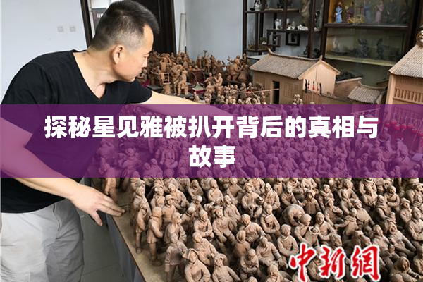 探秘星见雅被扒开背后的真相与故事