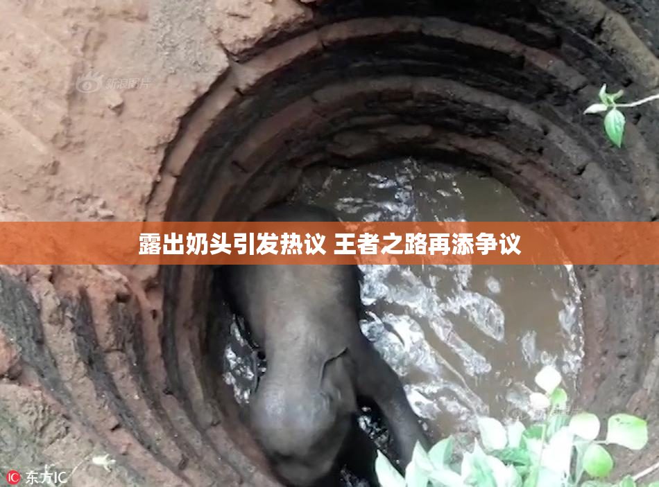 露出奶头引发热议 王者之路再添争议