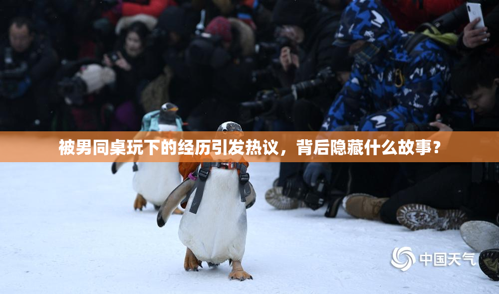 被男同桌玩下的经历引发热议，背后隐藏什么故事？