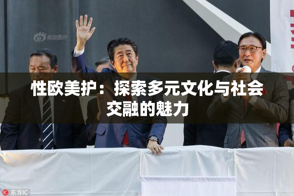 性欧美护：探索多元文化与社会交融的魅力