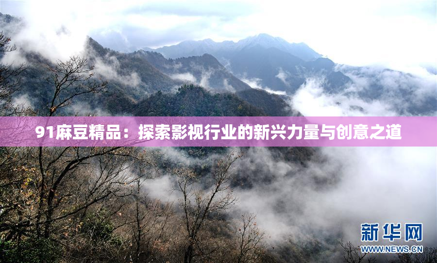 91麻豆精品：探索影视行业的新兴力量与创意之道