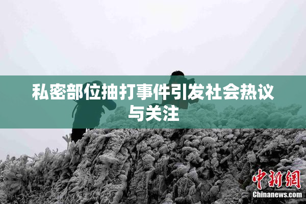 私密部位抽打事件引发社会热议与关注