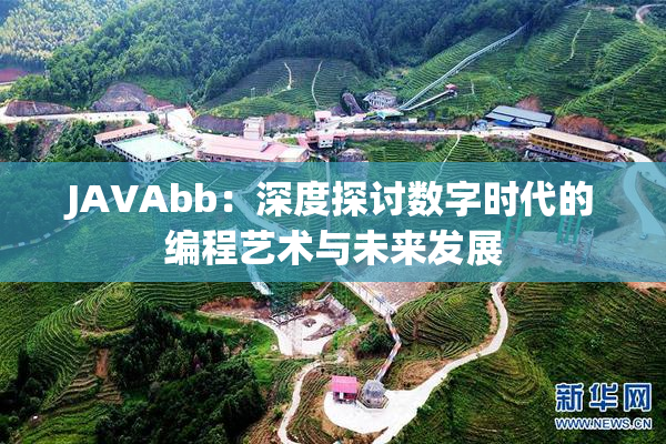 JAVAbb：深度探讨数字时代的编程艺术与未来发展