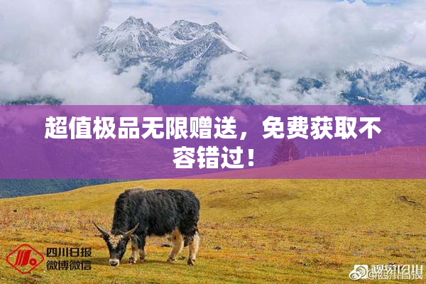 超值极品无限赠送，免费获取不容错过！