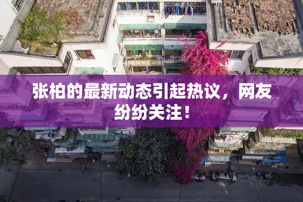 张柏的最新动态引起热议，网友纷纷关注！
