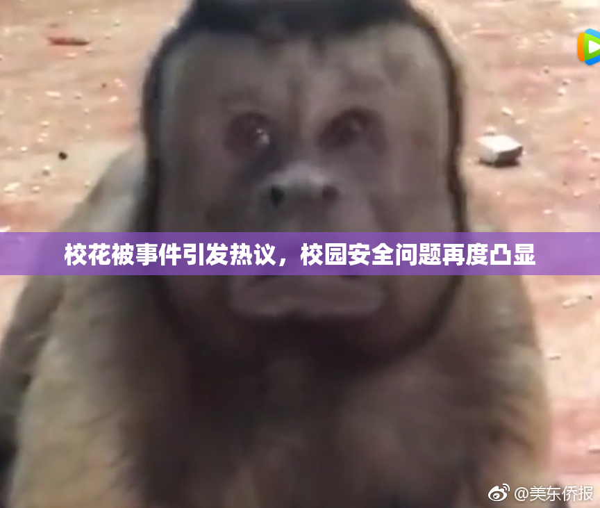 校花被事件引发热议，校园安全问题再度凸显