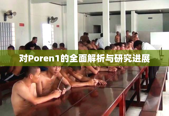 对Poren1的全面解析与研究进展