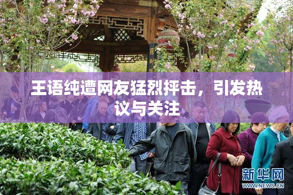 王语纯遭网友猛烈抨击，引发热议与关注