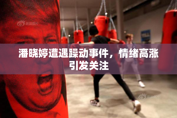 潘晓婷遭遇躁动事件，情绪高涨引发关注