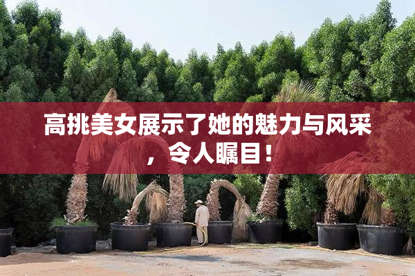 高挑美女展示了她的魅力与风采，令人瞩目！
