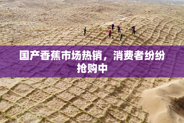 国产香蕉市场热销，消费者纷纷抢购中