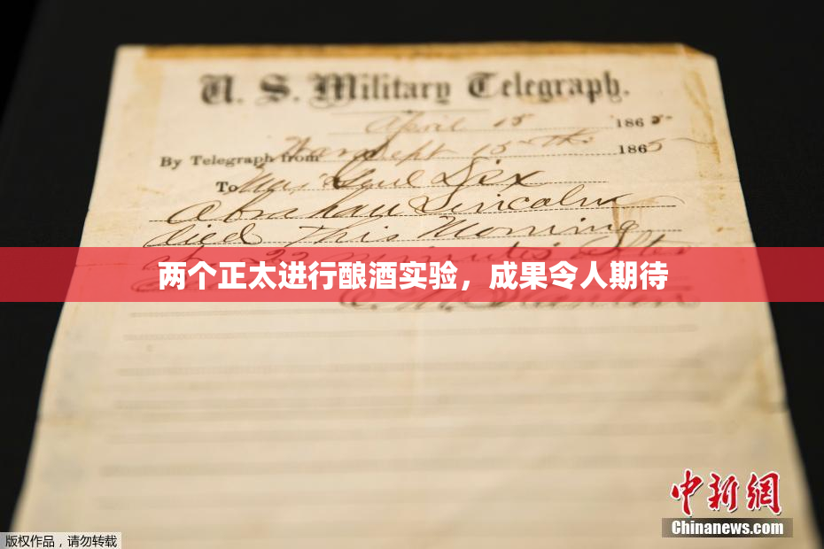 两个正太进行酿酒实验，成果令人期待