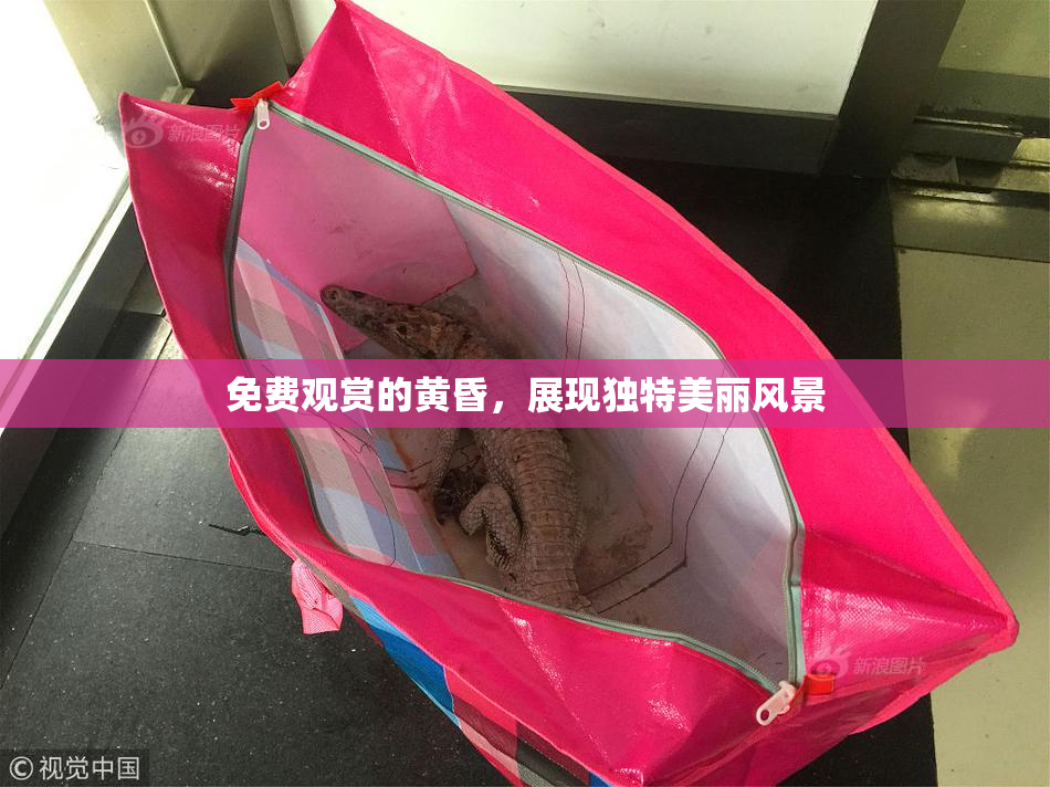 免费观赏的黄昏，展现独特美丽风景