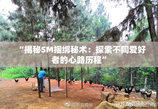 “揭秘SM捆绑秘术：探索不同爱好者的心路历程”