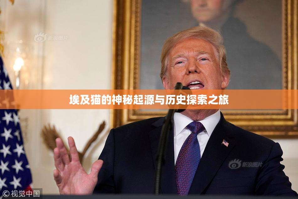 埃及猫的神秘起源与历史探索之旅