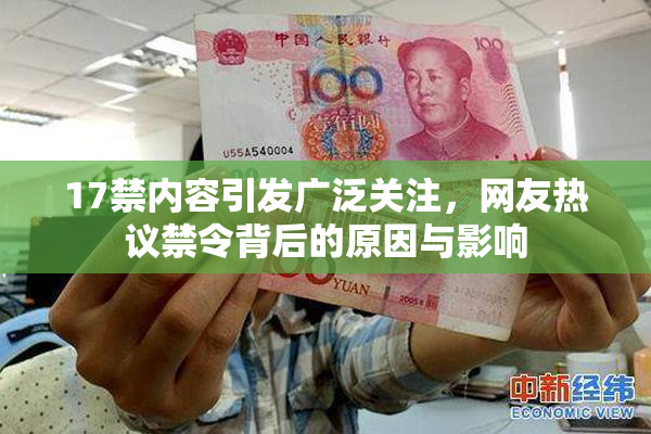 17禁内容引发广泛关注，网友热议禁令背后的原因与影响