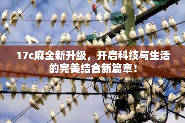 17c麻全新升级，开启科技与生活的完美结合新篇章！