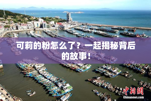 可莉的粉怎么了？一起揭秘背后的故事！