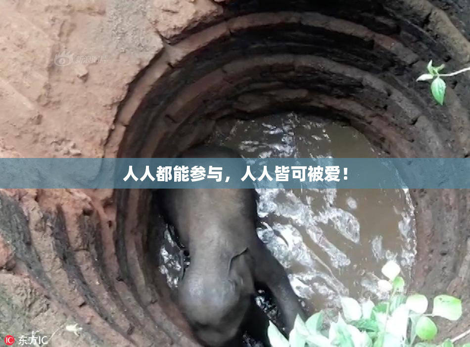人人都能参与，人人皆可被爱！