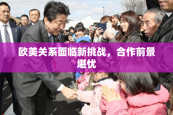欧美关系面临新挑战，合作前景堪忧