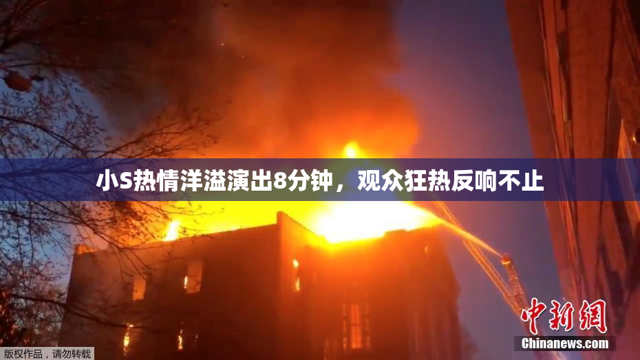 小S热情洋溢演出8分钟，观众狂热反响不止