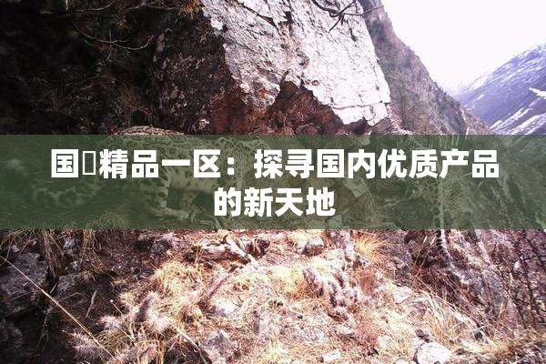 国產精品一区：探寻国内优质产品的新天地