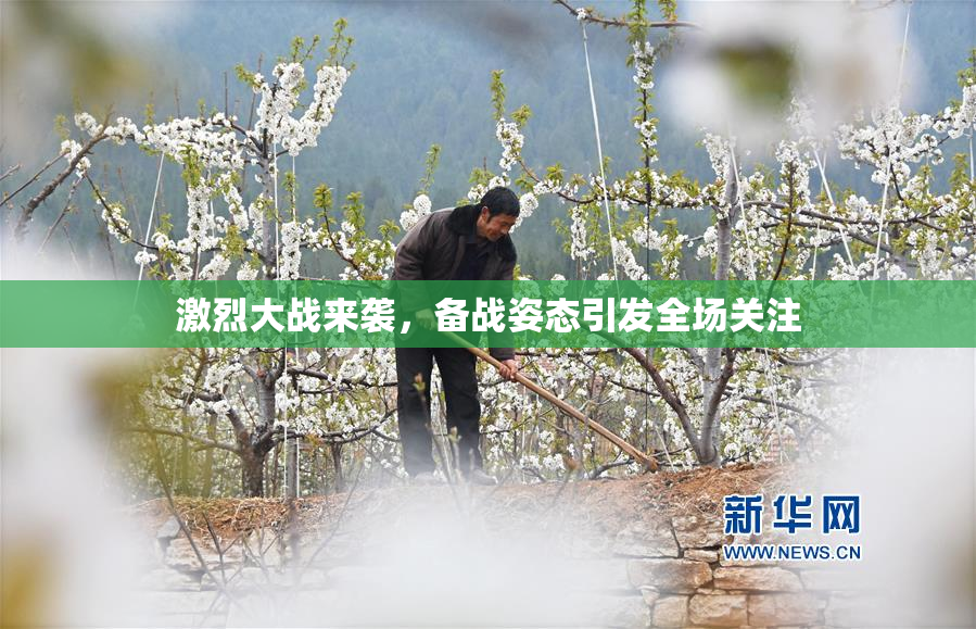 激烈大战来袭，备战姿态引发全场关注