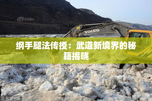 纲手腿法传授：武道新境界的秘籍揭晓
