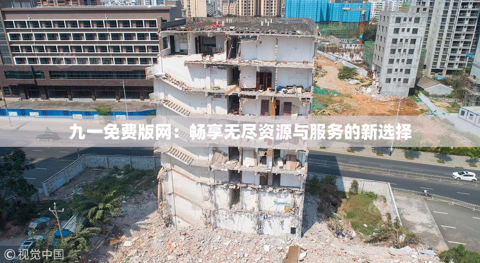 九一免费版网：畅享无尽资源与服务的新选择