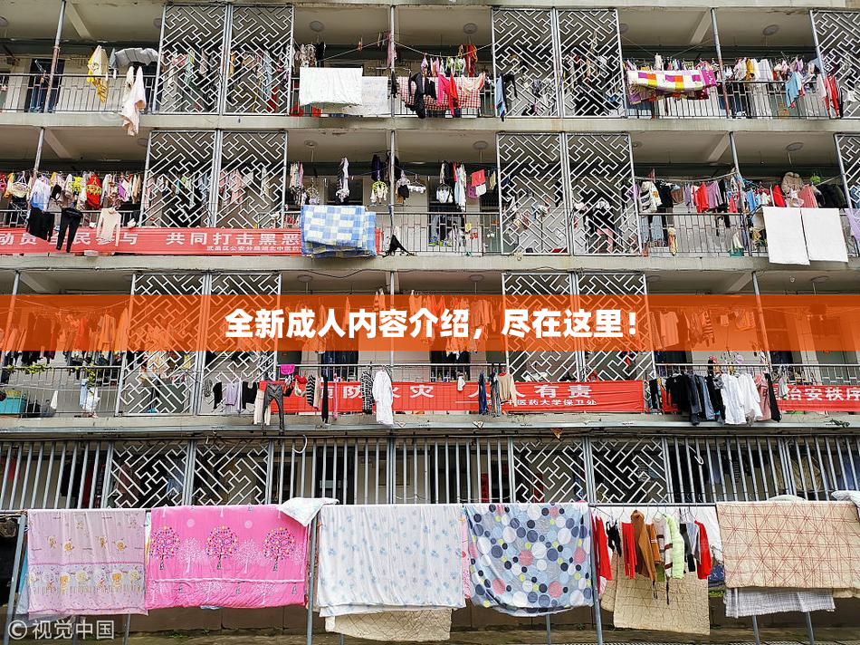 全新成人内容介绍，尽在这里！