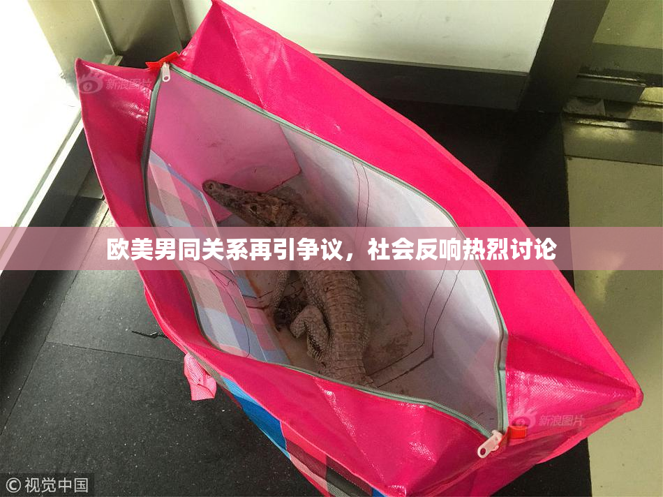 欧美男同关系再引争议，社会反响热烈讨论