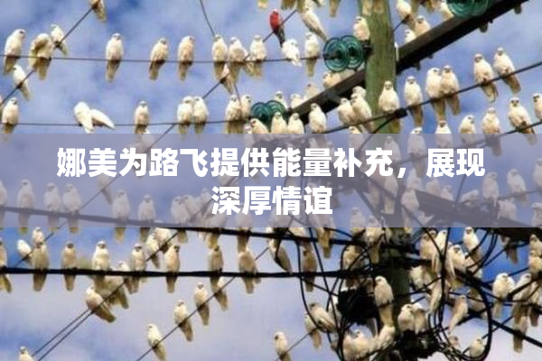 娜美为路飞提供能量补充，展现深厚情谊
