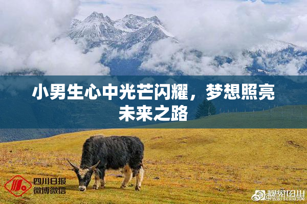 小男生心中光芒闪耀，梦想照亮未来之路