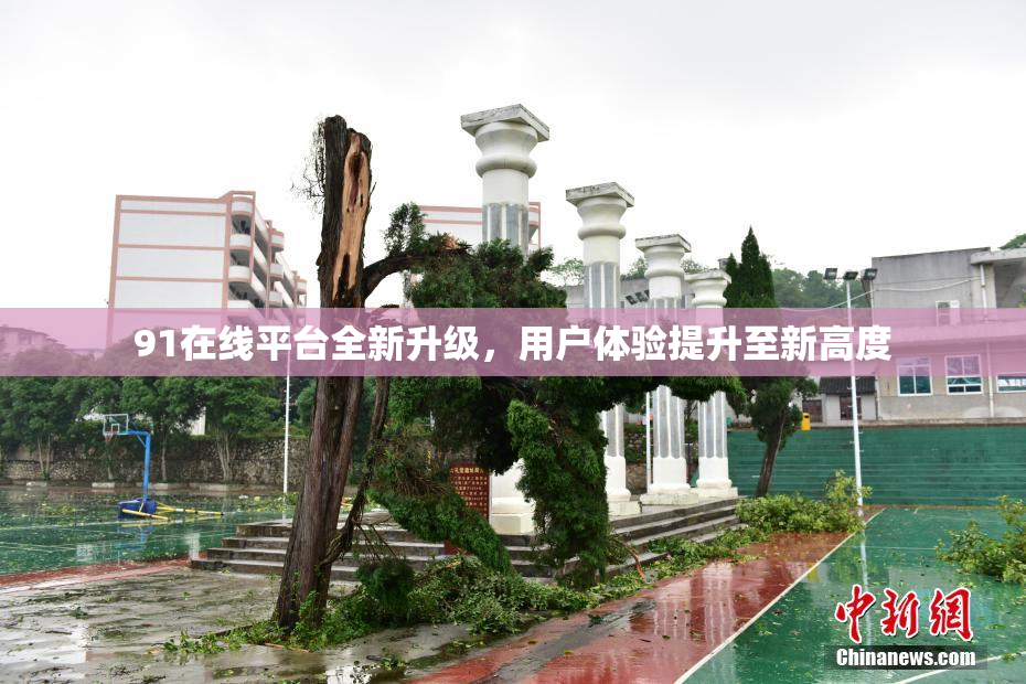 91在线平台全新升级，用户体验提升至新高度
