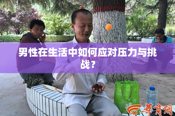 男性在生活中如何应对压力与挑战？