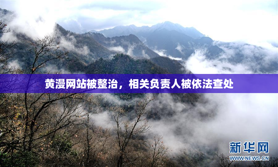 黄漫网站被整治，相关负责人被依法查处