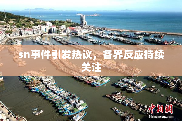 sn事件引发热议，各界反应持续关注