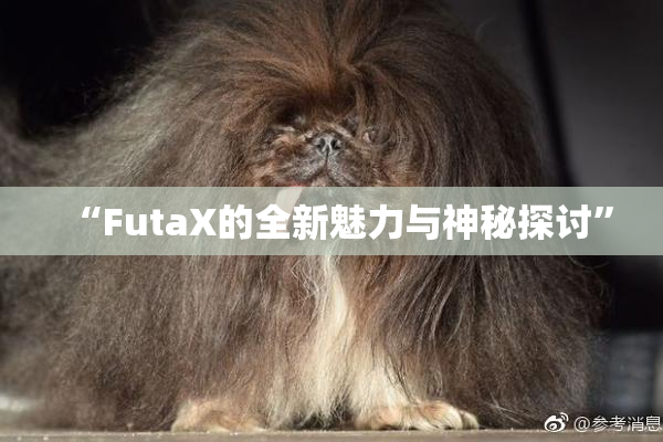 “FutaX的全新魅力与神秘探讨”
