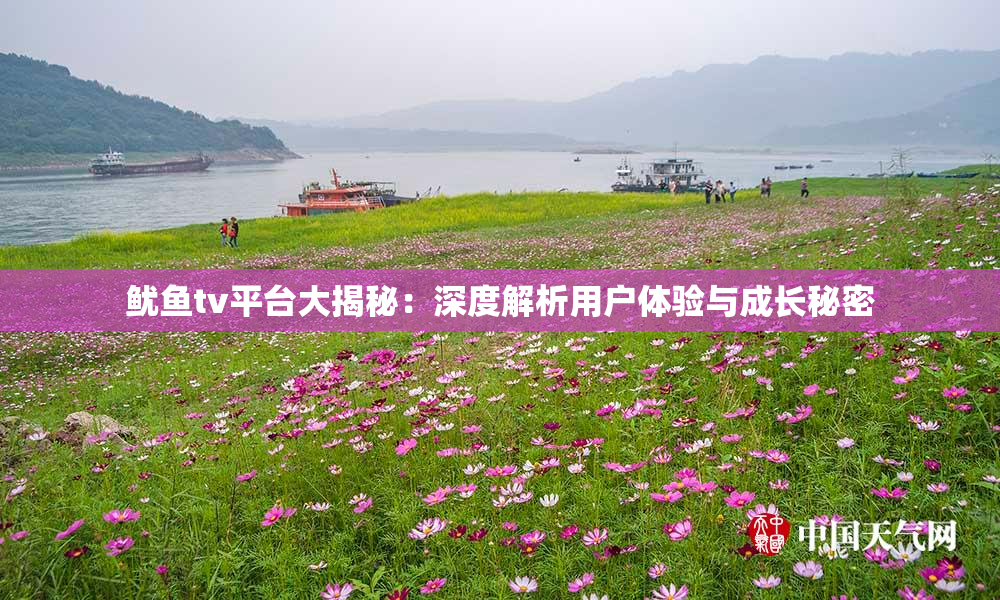 鱿鱼tv平台大揭秘：深度解析用户体验与成长秘密
