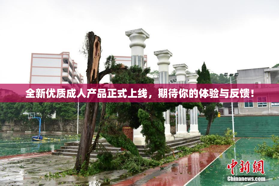 全新优质成人产品正式上线，期待你的体验与反馈！